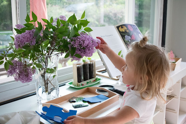 Flower arranging with your child. Some thoughts on making this Montessori practical life activity available in your home.