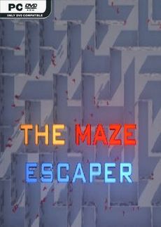 صورة للعبة The Maze Escaper
