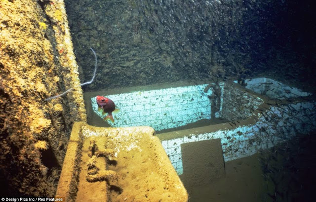 Islas Chuuk, el mayor cementerio de barcos del mundo