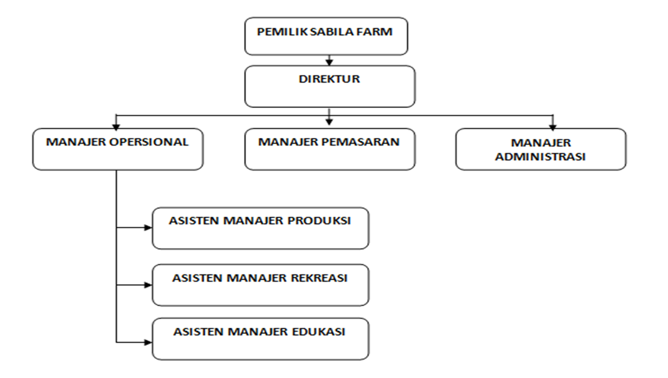 Struktur Organisasi Pt Djarum