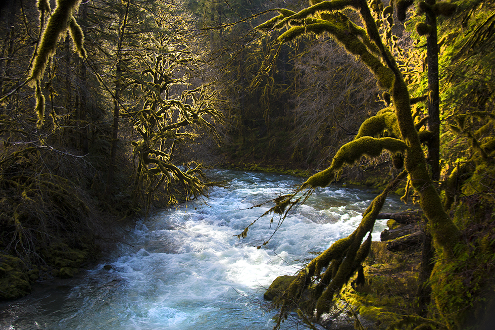 Photographing Oregon Santiam River, South Branch