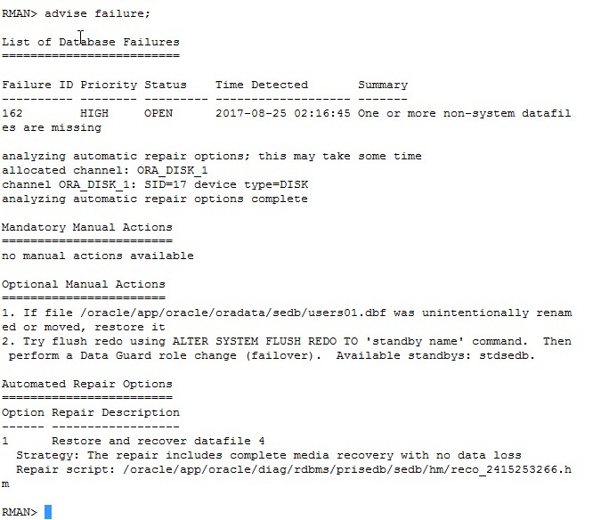 Oracle Data Recovery Advisor