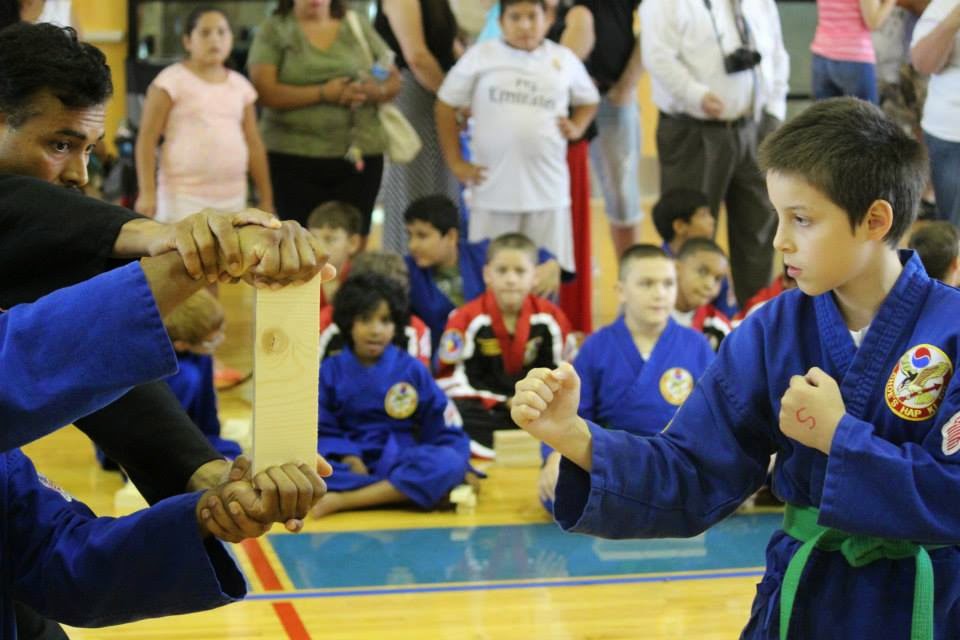 Choe's HapKiDo Karate Academy of Martial Arts Grayson