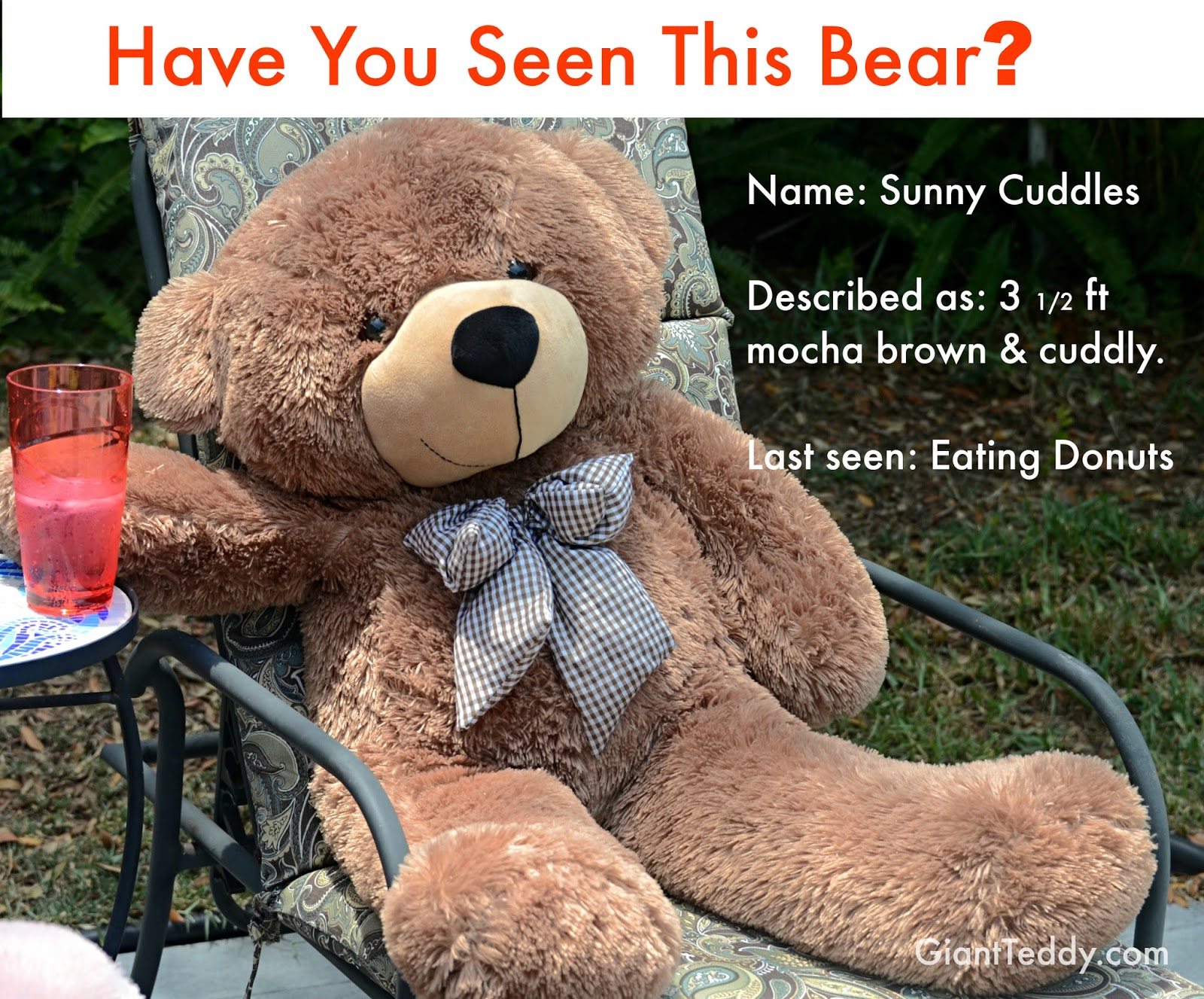 We issued a Missing Bear Fluffy Alert asking for help finding him