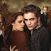 Un attore gay nel cast di Breaking Dawn