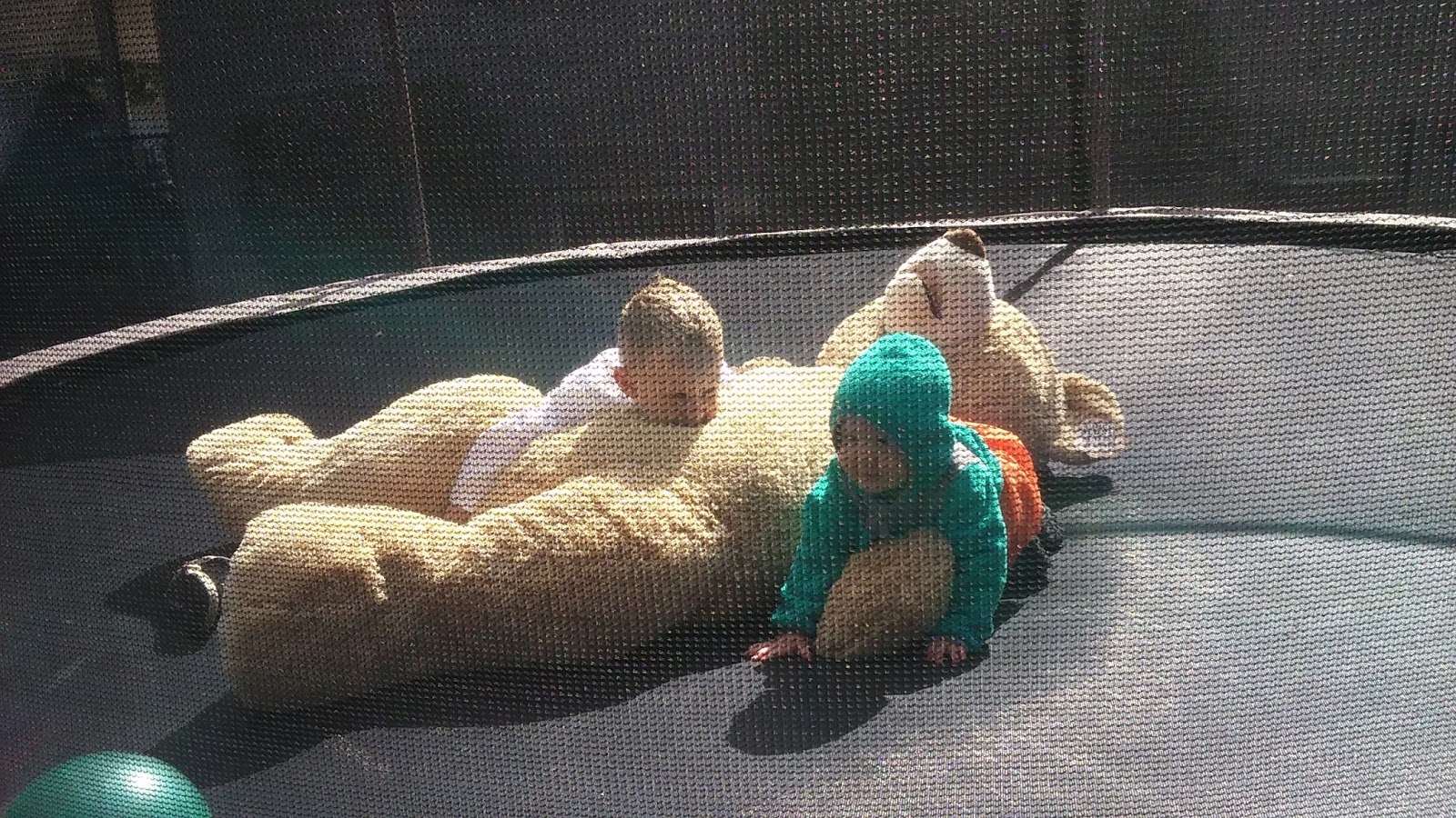 A Plastow Perspective Carnaval, Conference, Canoeing & Costco