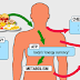 5 Easy Ways to Boost Your Metabolism 5 Easy Ways to Boost Your Metabolism