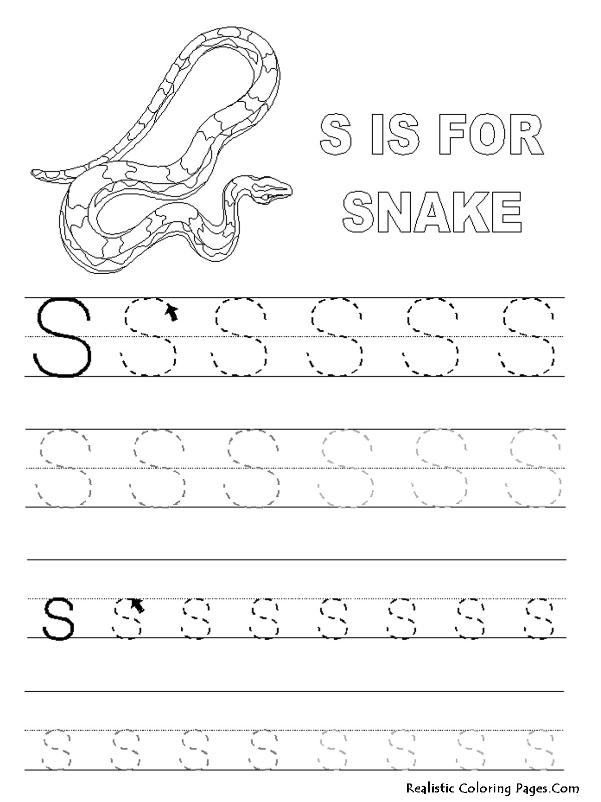 snake coloring sheet rattlesnake pages page of snakes great sea