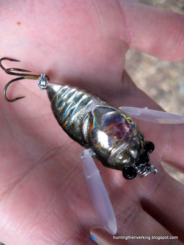 Topwater Cicada Lure Reviews: Megabass Grand Siglett, wLure T4, Jet Tackle Crazy Bug - Hunting ...