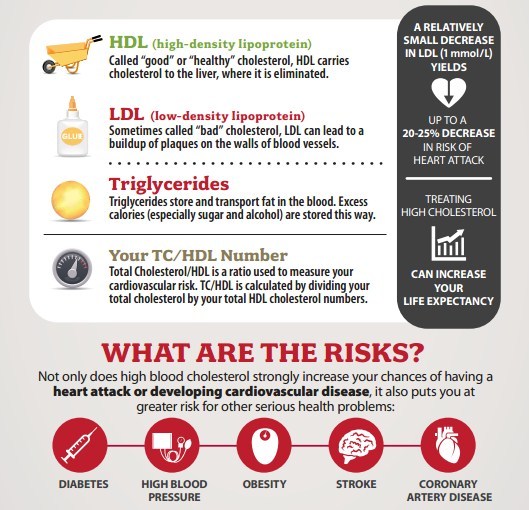 Do I Actually Must Fear About My High Cholesterol? Do I Actually Must Fear About My High Cholesterol?