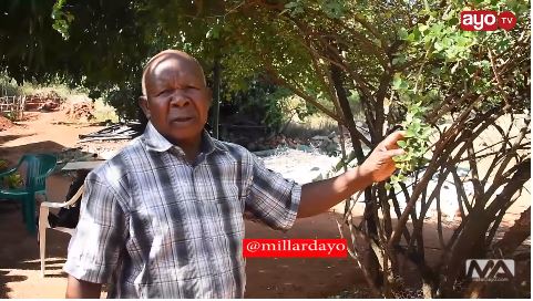 Babu Wa Loliondo: “Sihitaji Mwanamke tena, sina mwanamke tangu 2009”
