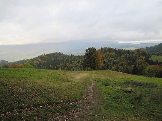 Polana pod Wysoką. Polana pod Wysoką.