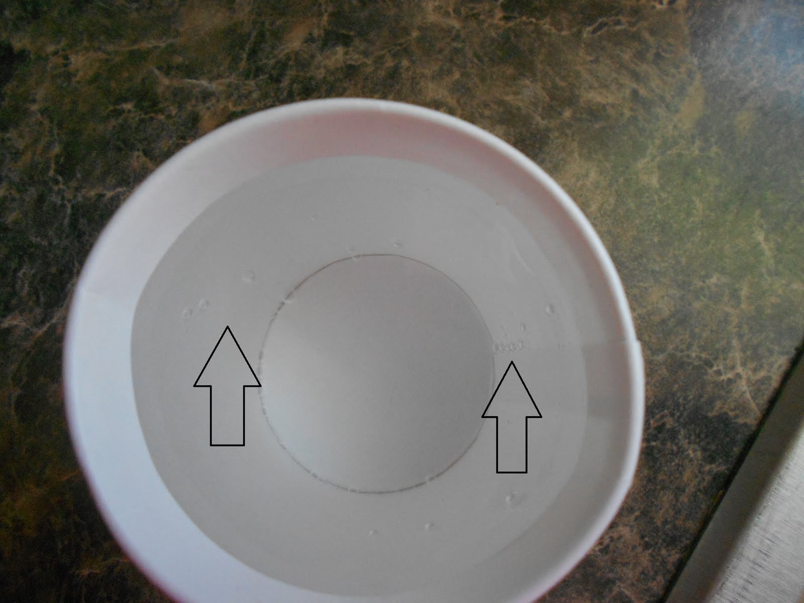 Almost Unschoolers More Air Bubbles in the Ice