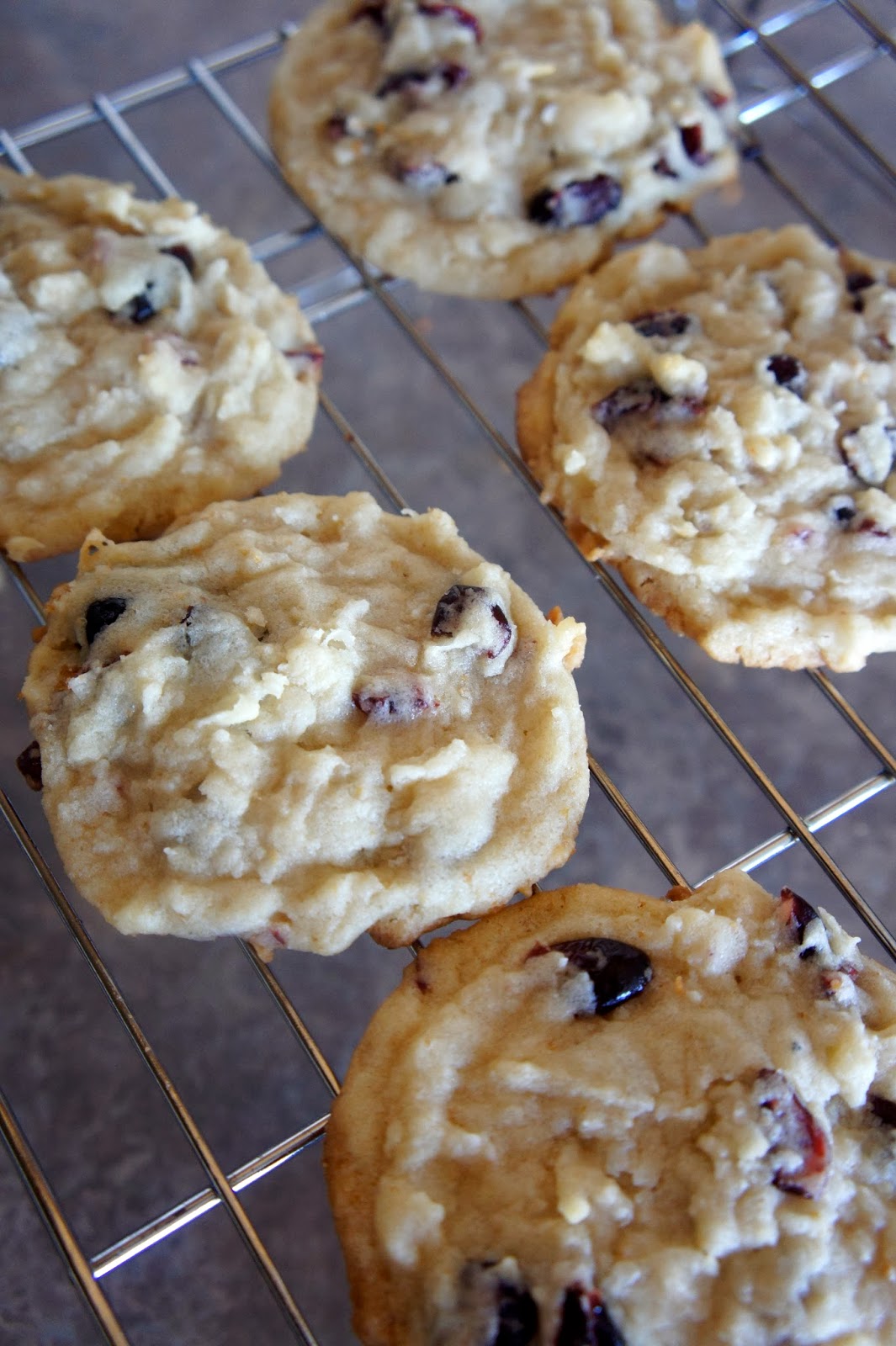 Savory Sweet and Satisfying: Coconut Cranberry Cookies