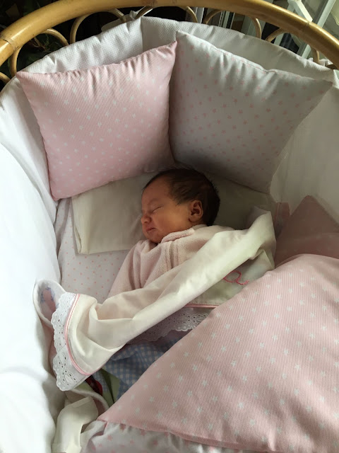 moises para bebes reborn