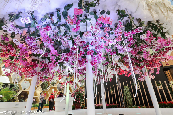 台中后里|台中花博后里馬場園區|花舞館|馬術兢技場|故宮花蝶館|花馬樂園 台中后里|台中花博后里馬場園區|花舞館|馬術兢技場|故宮花蝶館|花馬樂園