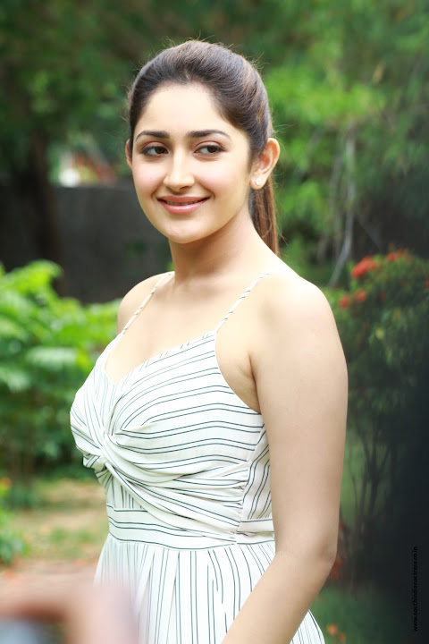 Sayyeshaa Saigal at Ghajinikanth Press Meet