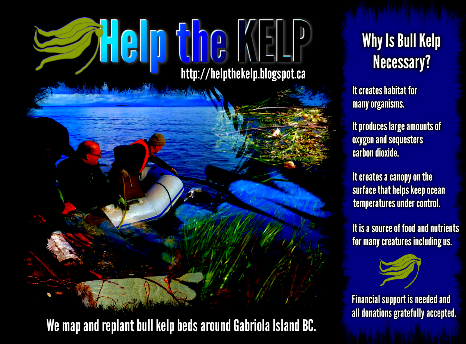 Why is bull kelp necessary?