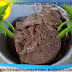 Homemade Chocolate Ice Cream