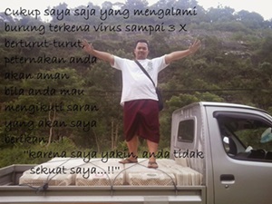 pelatihan ternak puyuh pelatihan ternak puyuh