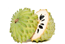 30 Trend Terbaru Gambar Buah Srikaya Togel Victoria Melani Blog