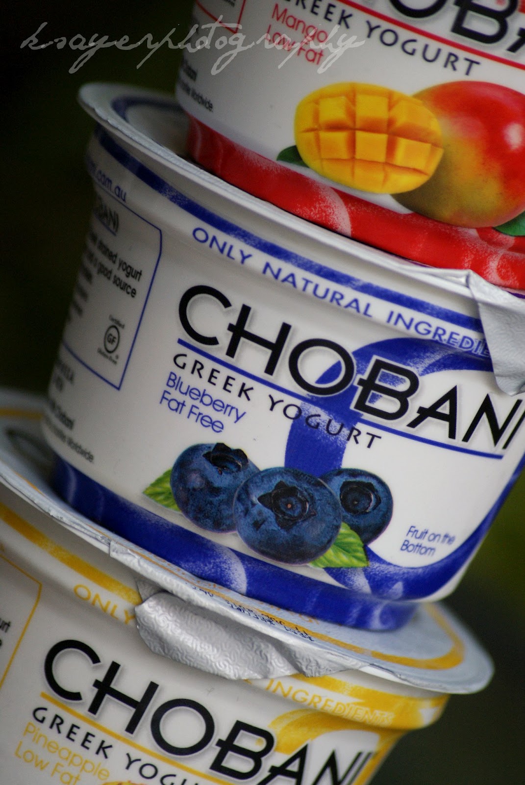 Southern In Law Saturday Spotlight Chobani Greek Yogurt
