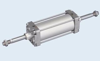 Duis quis erat non nunc fringilla