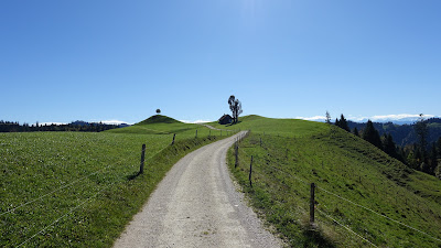 Weg bei Vorderarni auf rund 1100 m Weg bei Vorderarni auf rund 1100 m