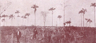 Visita do presidente do Estado, Washington Luiz, ao Ariri, em 1921. Foto: Revista “A Vida Moderna”, nº 41, de 29-9-1921) Visita do presidente do Estado, Washington Luiz, ao Ariri, em 1921. Foto: Revista “A Vida Moderna”, nº 41, de 29-9-1921)