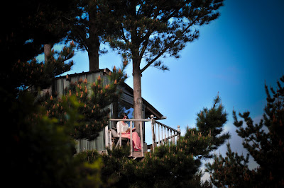 Tree House New Zealand
