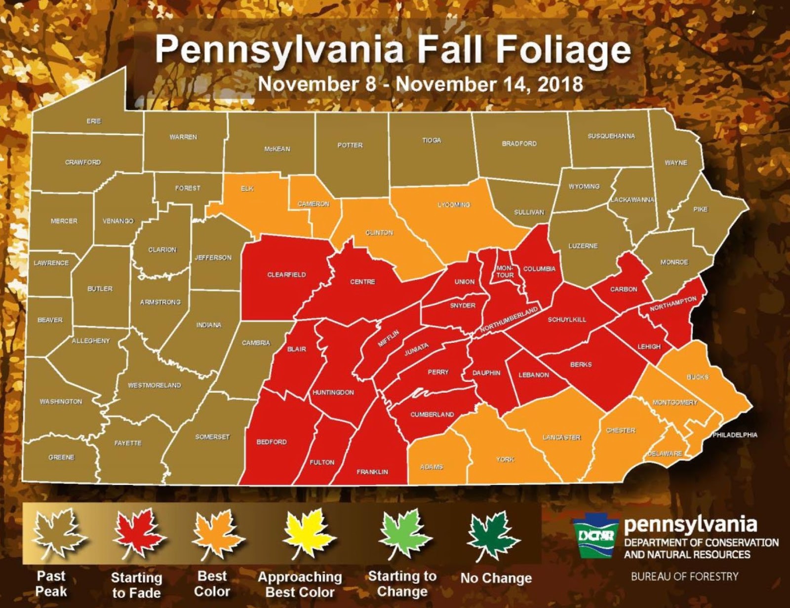 PA Environment Digest Blog DCNR Week 7 Bright Fall Foliage Remains In