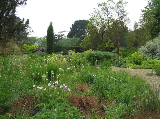 The Savill Garden suchy ogród