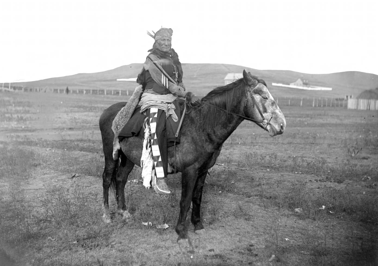 Sitting Bull The Photographs