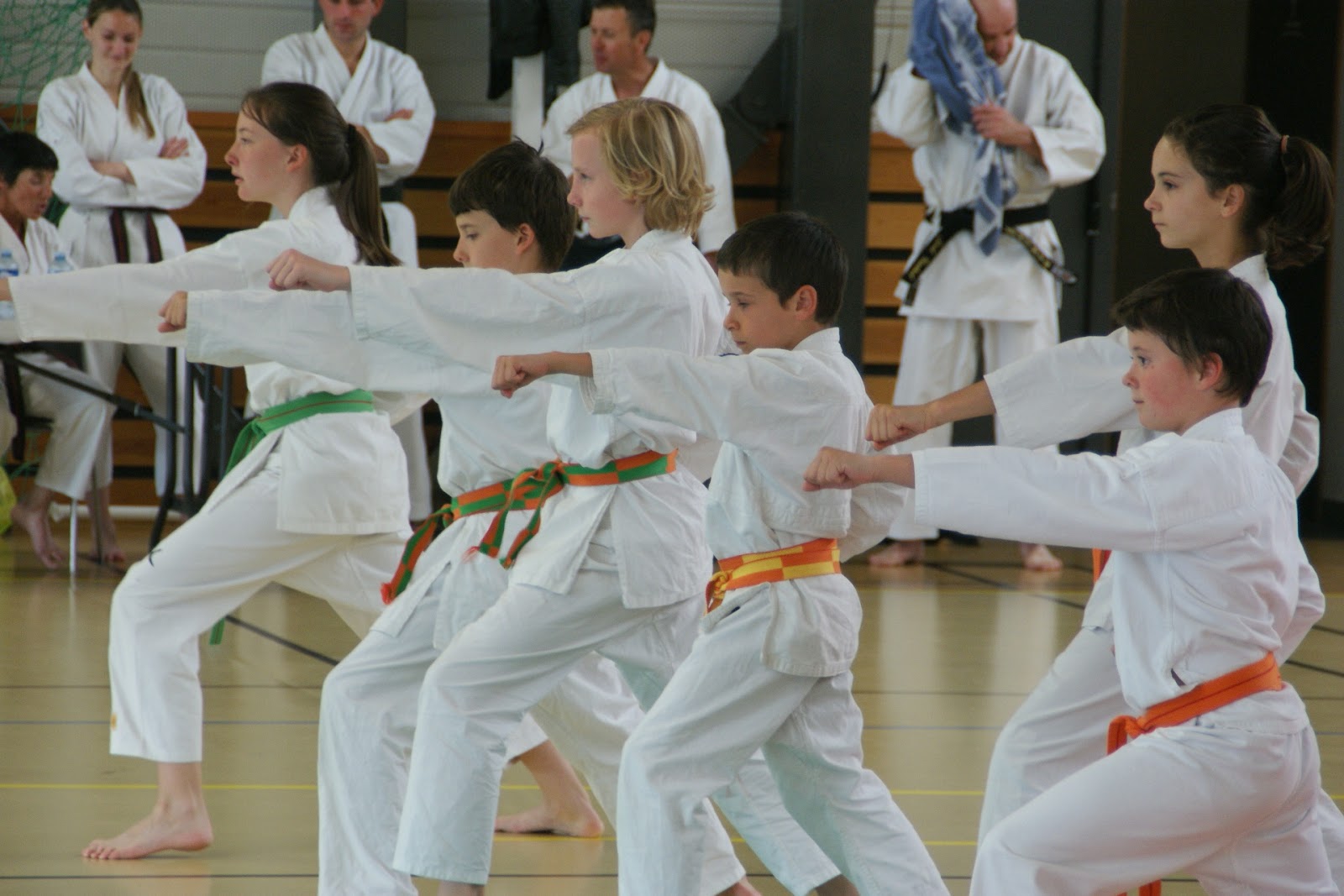 club karate saint pierre reunion