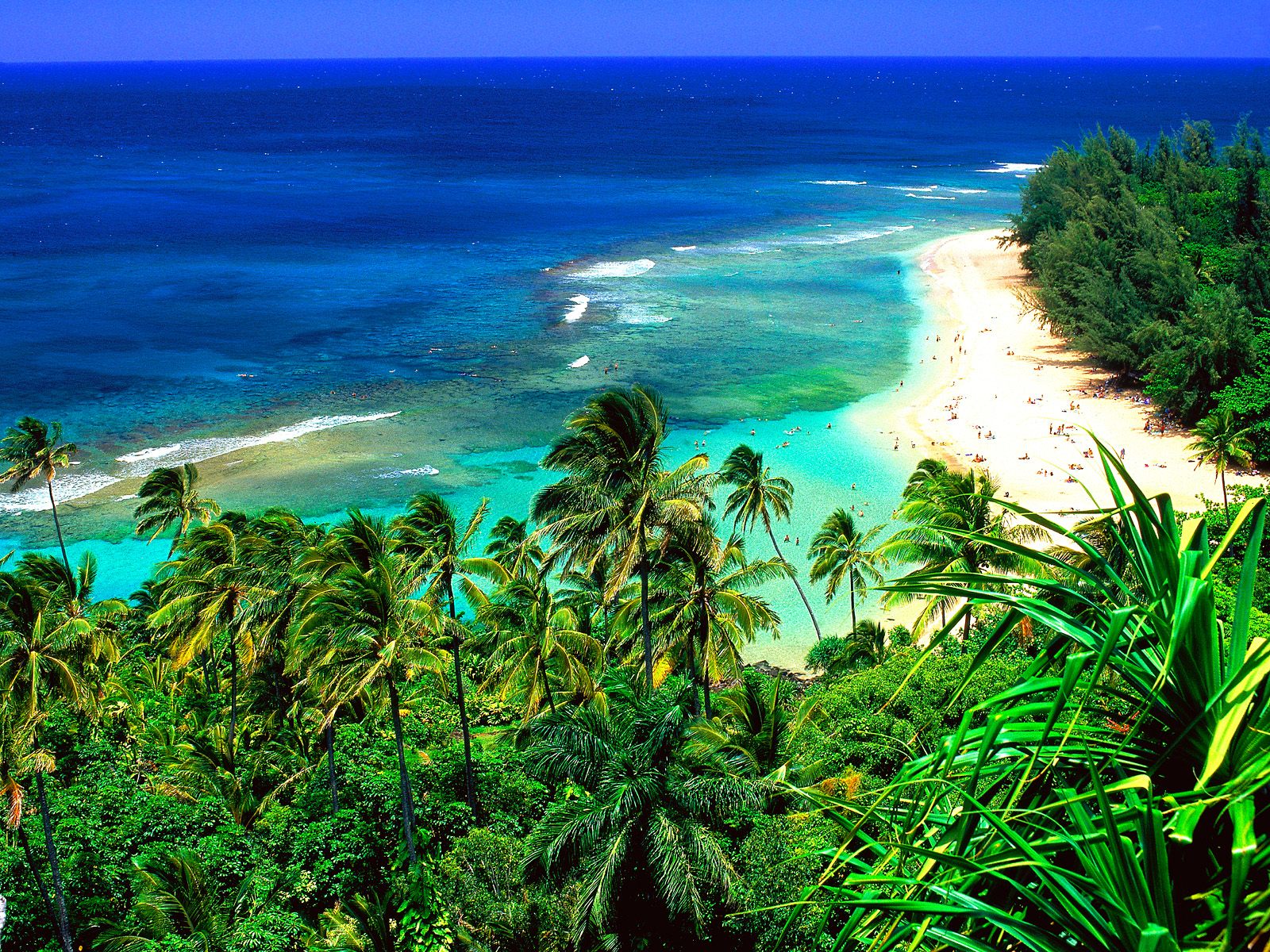 diaforetiko.gr : kauai+island+%281%29 Τα 30 ομορφότερα νησιά του κόσμου – Ανάμεσα τους και η δική μας Σαντορίνη!