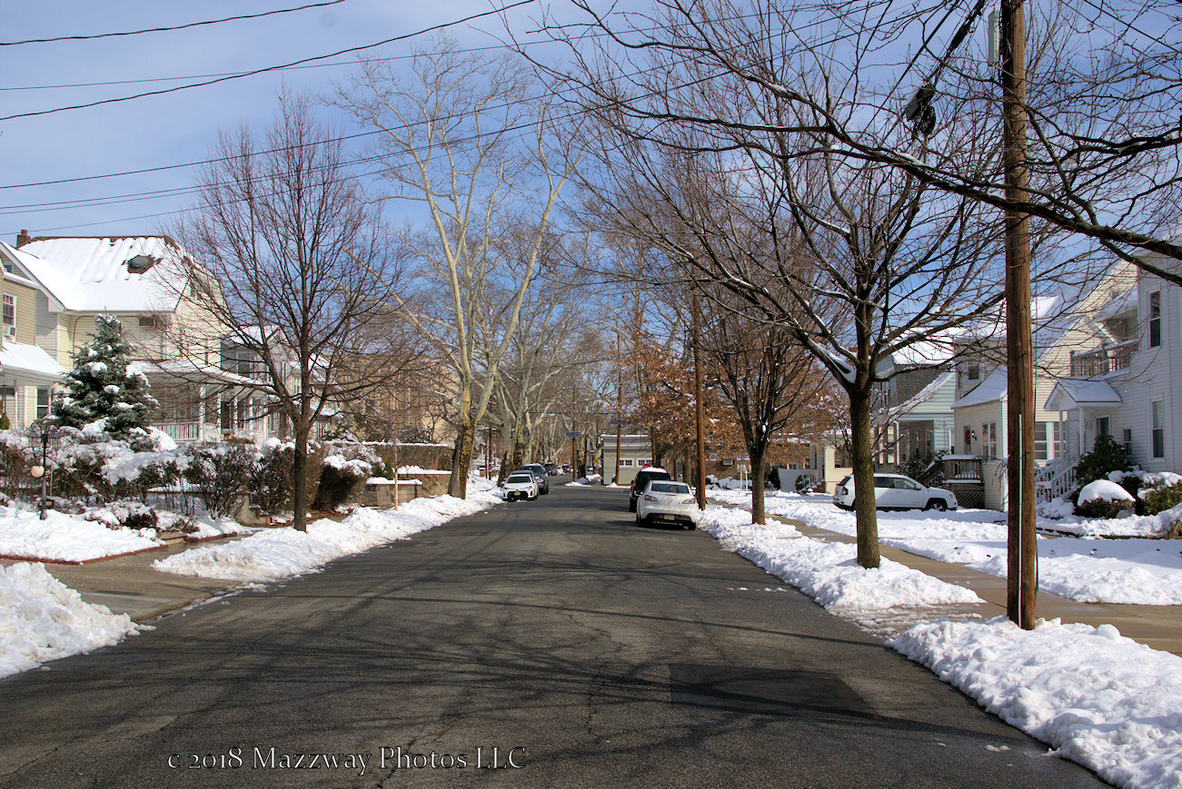 Bogota Blog NJ After the snow