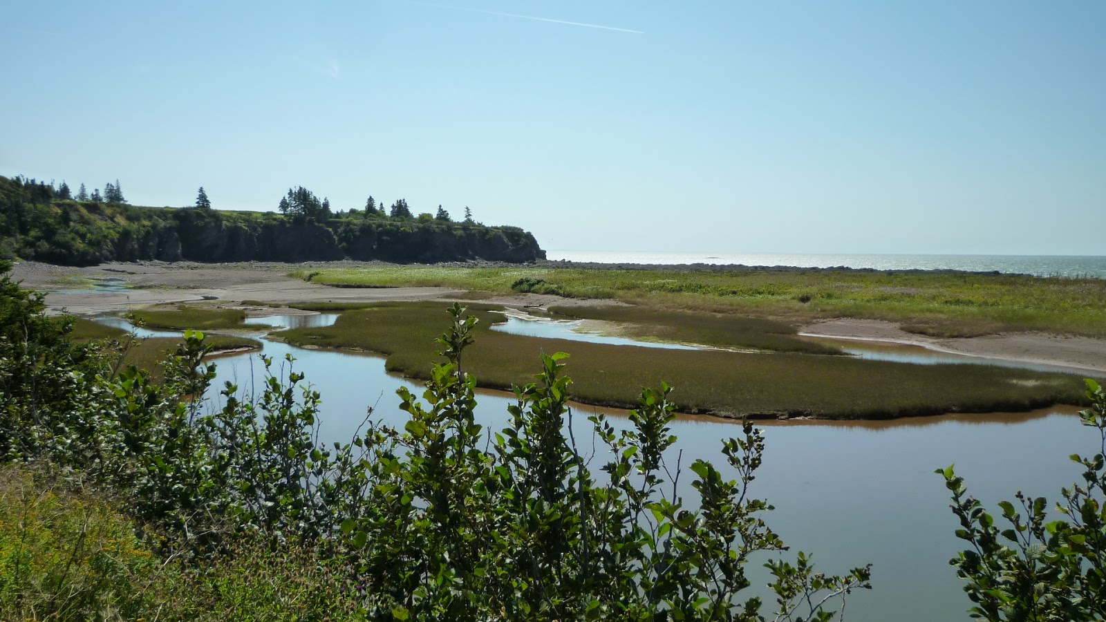 30 Paintings in 30 Days Gardner Creek New Brunswick 22