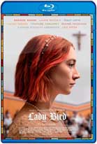 Lady Bird (2017) HD 720p Latino