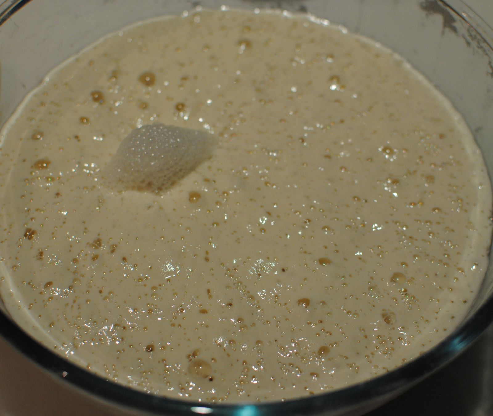 Richard Elliot's Blog Project Sourdough The sponge method