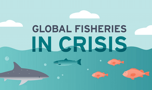 Global Fisheries in Crisis
