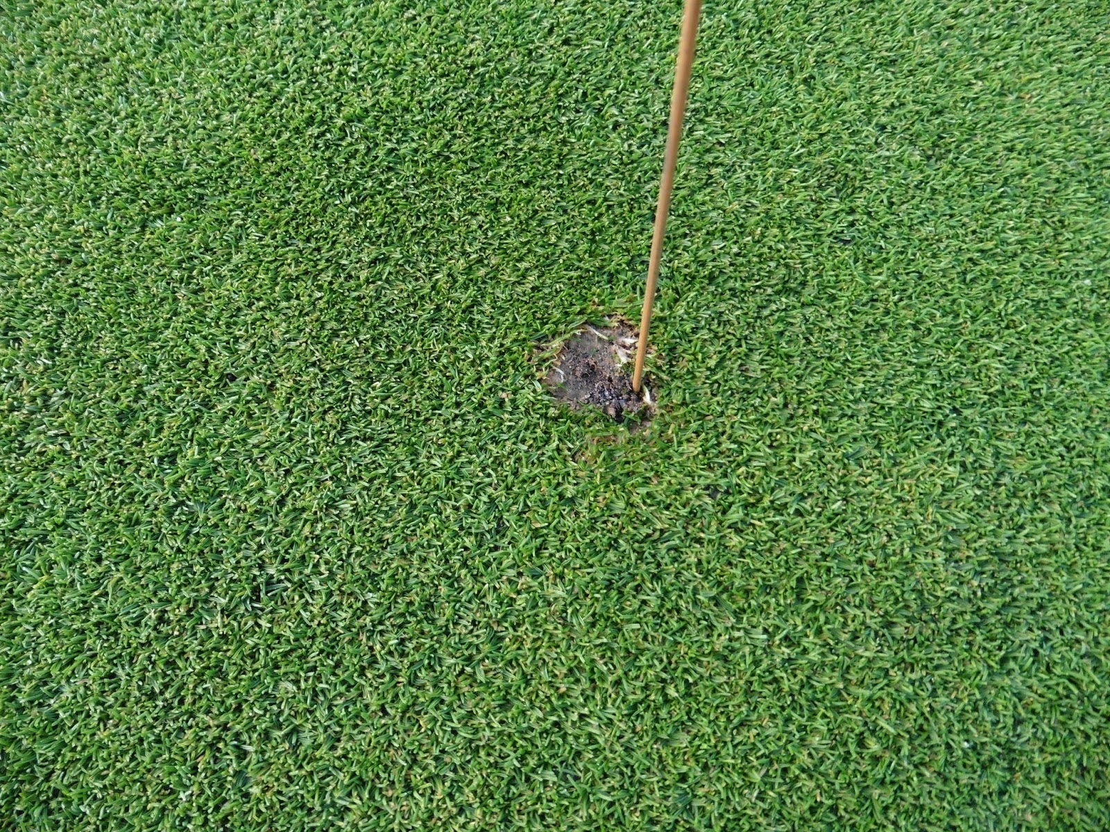 Glendale Country Club Ball marks need to be repaired correctly!