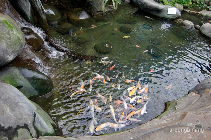 taman akuarium air tawar tmii