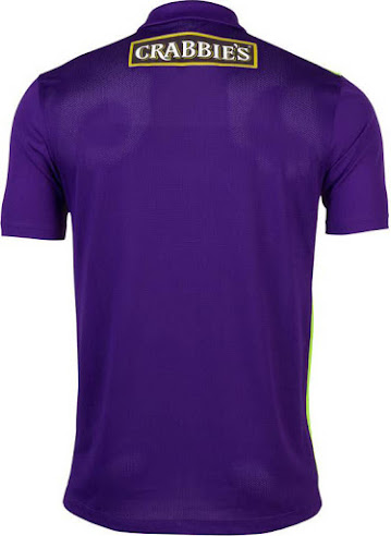 hibs purple kit