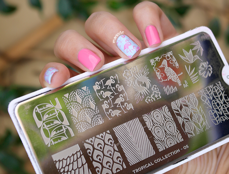 flamingo nails moyou tropical