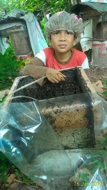 Manfaat Madu