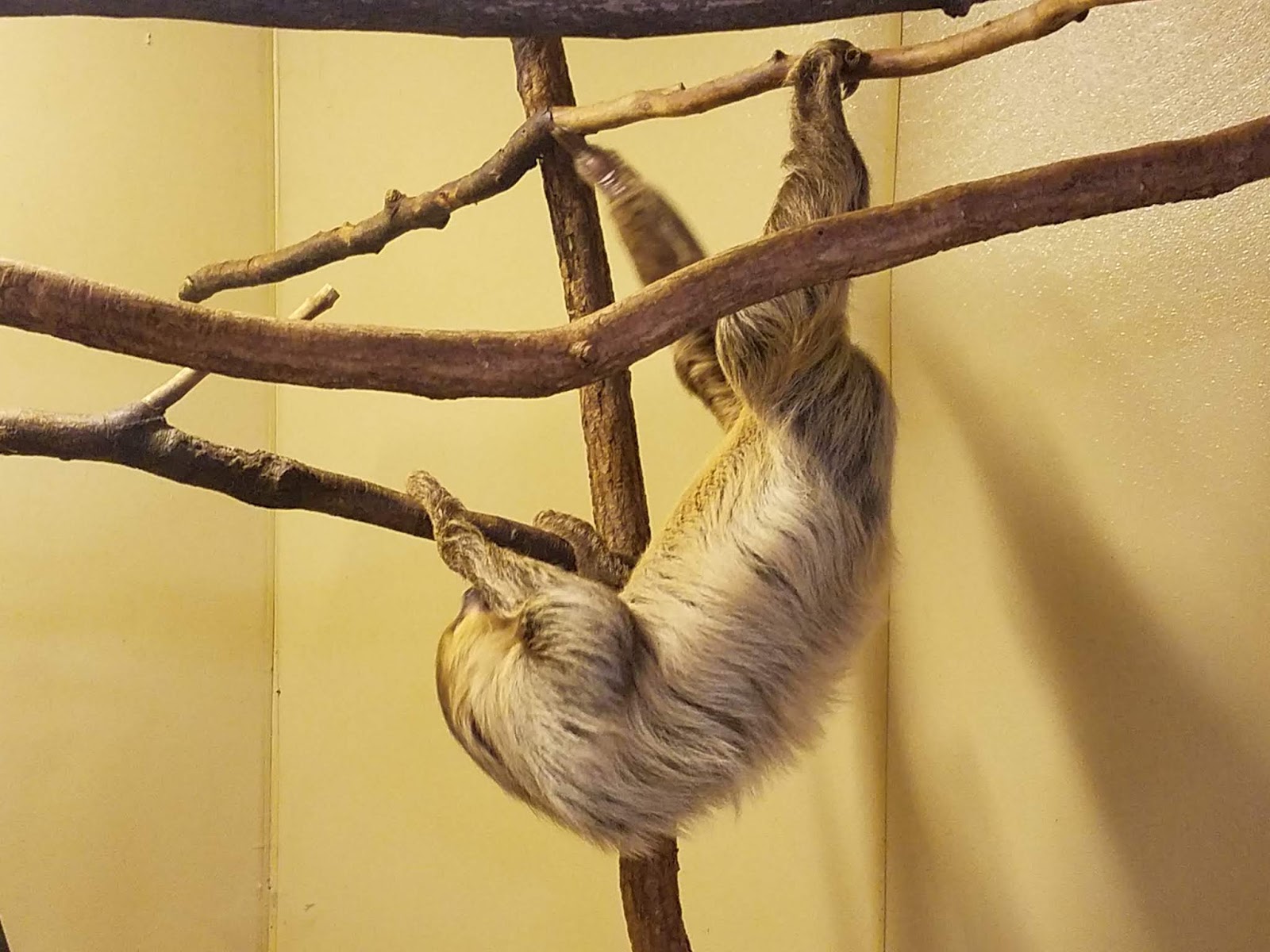 Living Our Bucket List Life Farmington Nemacolin Woodlands Zoo