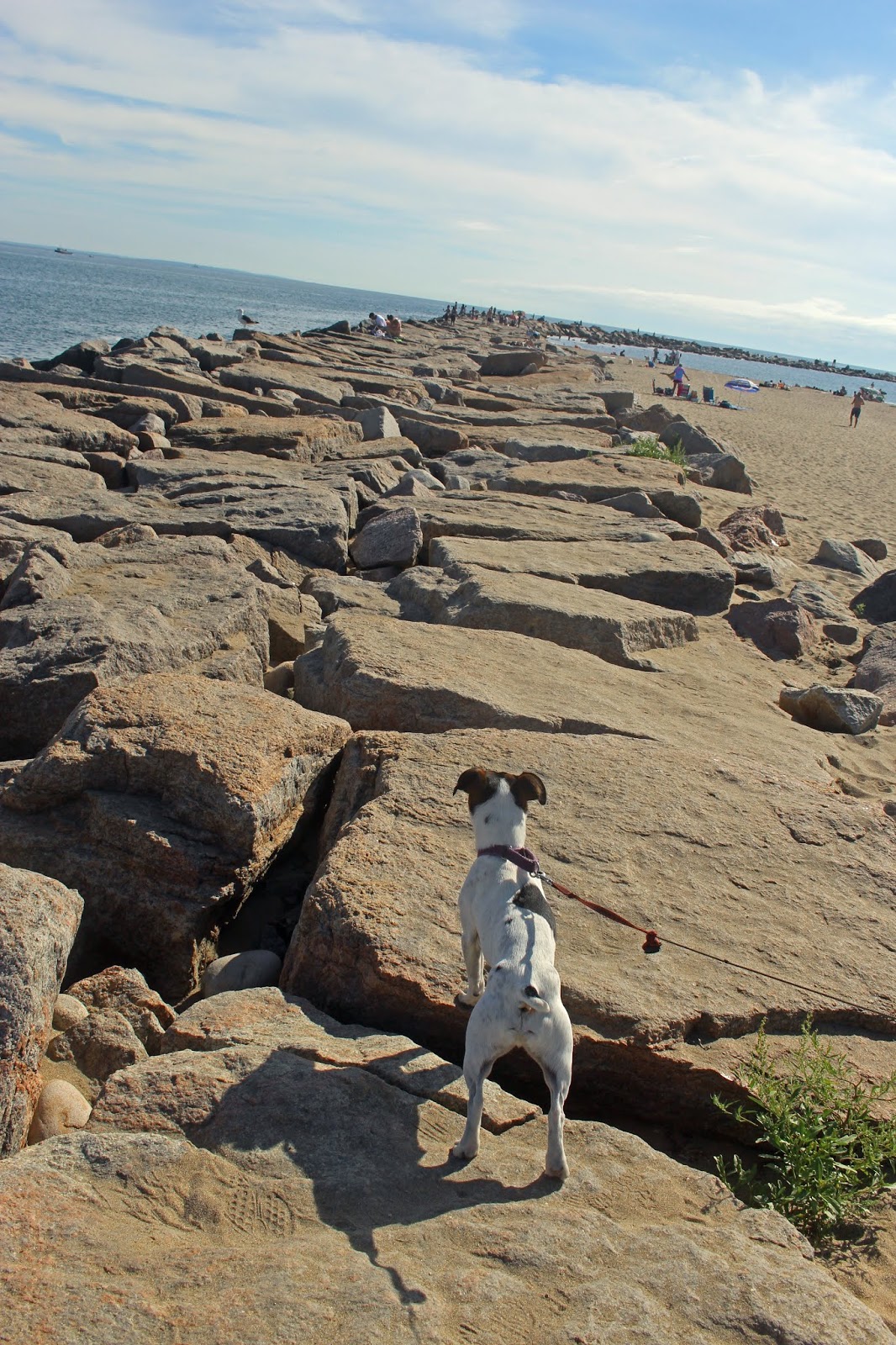 Kayak Fishing Country Camp Cronin Fishing Area Narragansett, Rhode