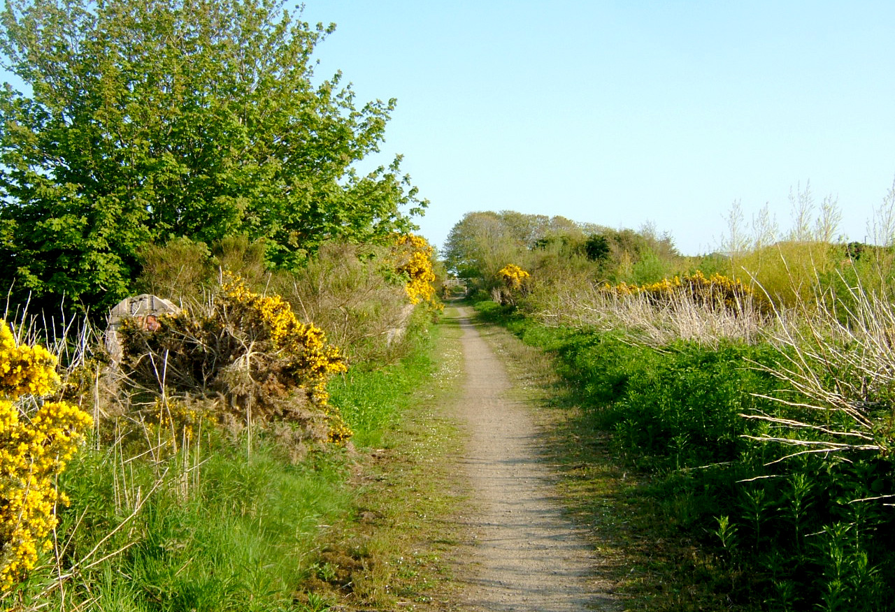 Walking The Line Formartine Buchan Way or Formartine Buchan Railway?
