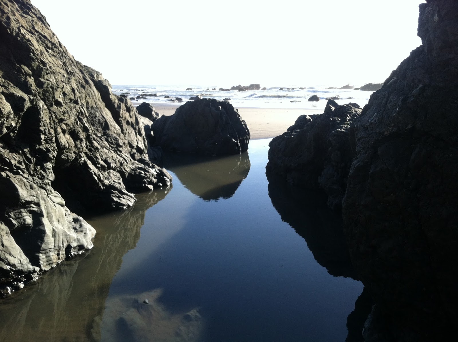 Eclectic Arcania Another Kim Day At San Simeon