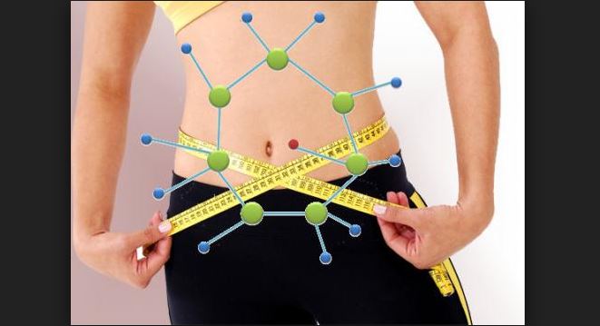metabolismo